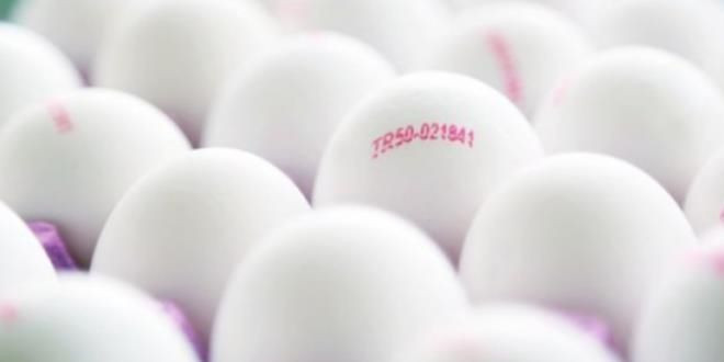 Bilmeniz gereken yumurta kodları - Resim: 3
