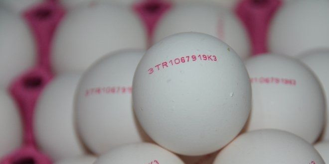 Bilmeniz gereken yumurta kodları - Resim: 4