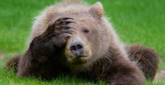 Vahşi doğa hiç bu kadar komik olmamıştı! Hayvanların güldüren halleri - Resim: 1