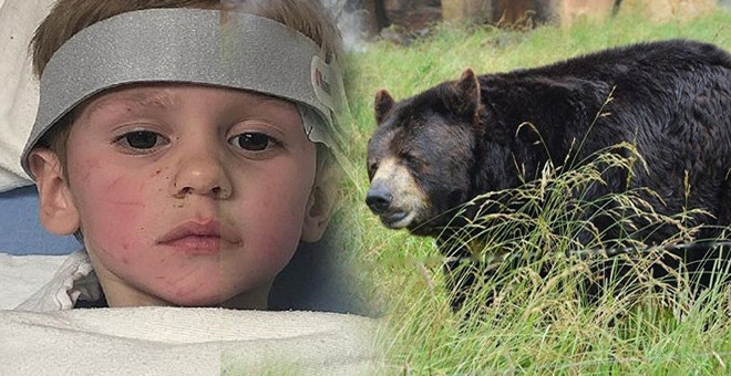 Kaybolan çocuk, 2 gün sonra bulundu: Beni bir ayı korudu - Resim: 1