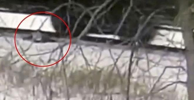 YouTube için video çekerken kabusu yaşadı! Minik çocuğun bacakları koptu - Resim: 1