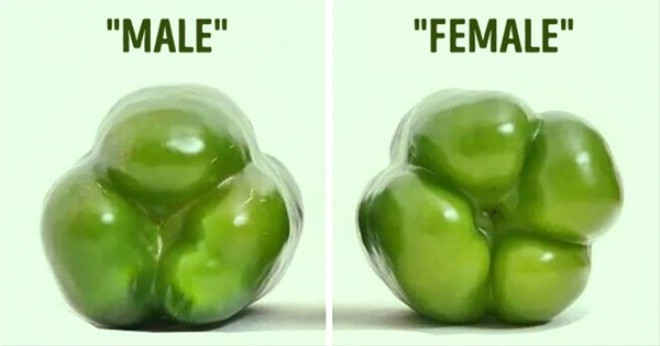 Bir Çinliye sıcak çay verirseniz muhtemelen kavga edersiniz! - Resim: 2