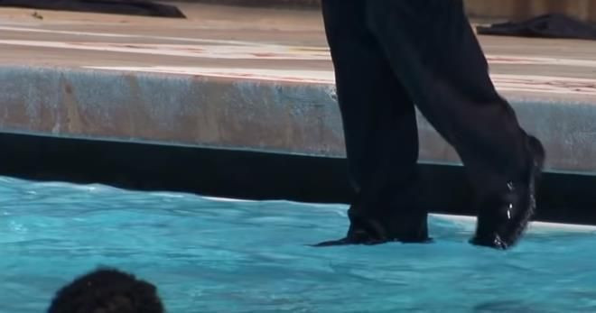 Hep merak edilmişti! Suda yürüyen sihirbaz sırrını açıkladı - Resim: 4