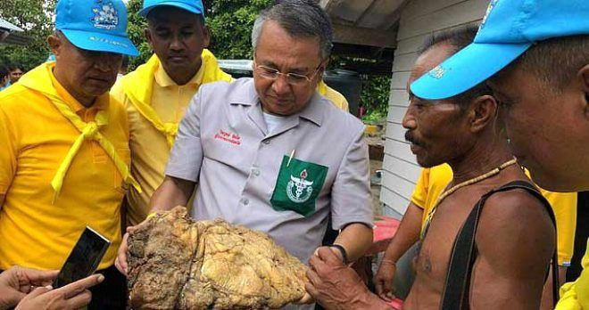 Balinanın kusmuğu karaya vurdu fiyatını duyanlar şaşkına döndü - Resim: 4
