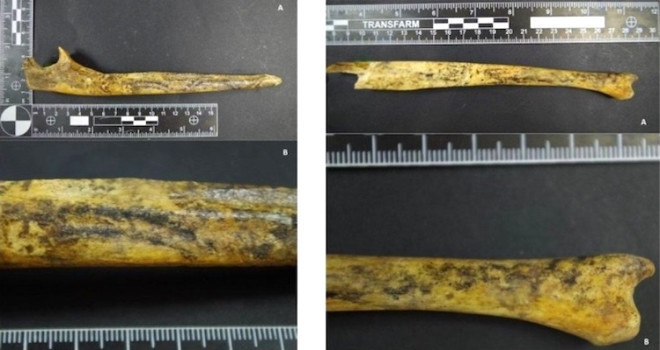 Mezarından çıkarıp kemiklerini süslemişler - Resim: 4