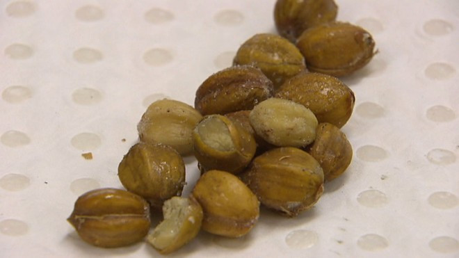 Blushwood meyvesi kanser hastalarına umut oldu - Resim: 2