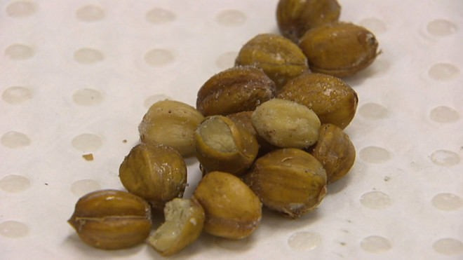 Kanserin kökünü kazıyor Blushwood meyvesi bir mucize - Resim: 3