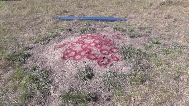 Karınca yuvasına alüminyum döktü bakın ortaya ne çıktı - Resim: 2