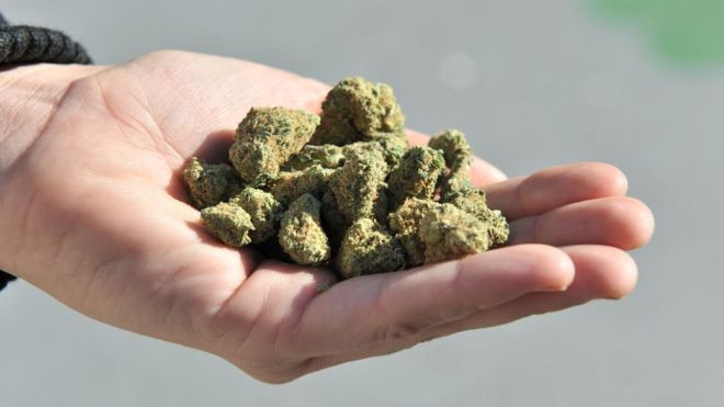 Kilosu bin TL'ye kadar çıktı! Erdoğan açıkladı fiyatlar tavan yaptı - Resim: 1