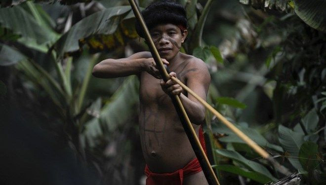 Koronavirüs balta girmemiş Amazon ormanlarına bile sıçradı - Resim: 2