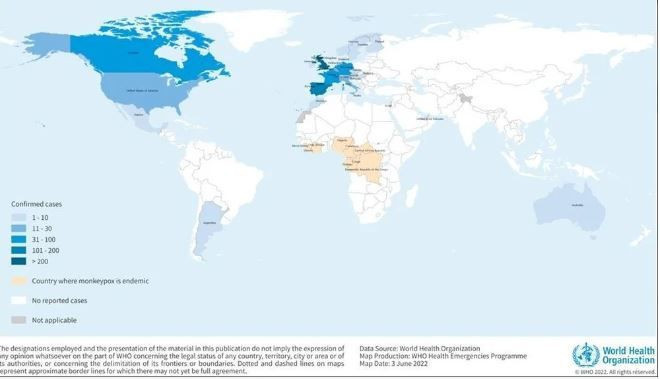 Vakalar bir haftada üçe katlandı: Maymun çiçeği hangi ülkelerde görüldü? - Resim: 3