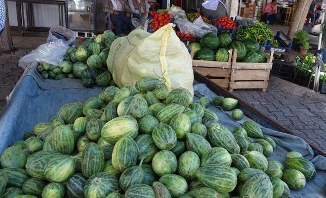 Patent başvurusu! Şelengo'nun dışı karpuza, içi kavuna, tadı ise salatalığa benziyor - Resim: 4