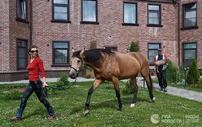 Rusya'da dünyanın en küçük tayı doğdu - Resim: 4