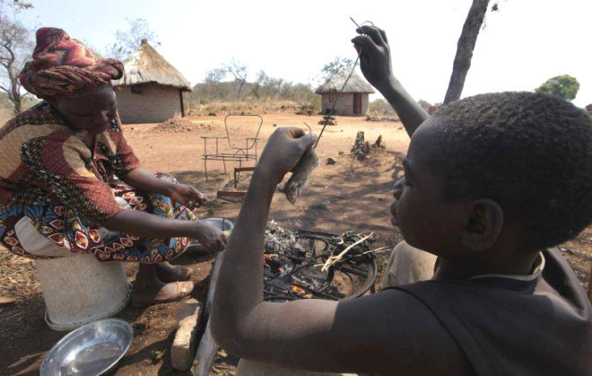 'Şişte fare' pişirip yol kenarında satıyorlar böyle girişimci ruh görülmedi - Resim: 3
