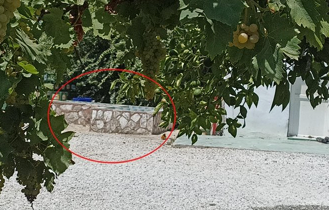 Zehra Bayır'ın eski nişanlısı konuştu! Baltalı vahşetten iki gün önce meğer... - Resim: 1