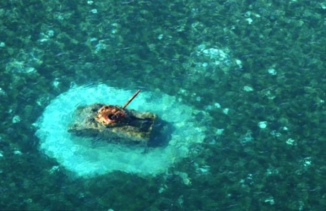 İnsanlar onla yüzüyor nedeni sizi çok şaşırtacak - Resim: 1