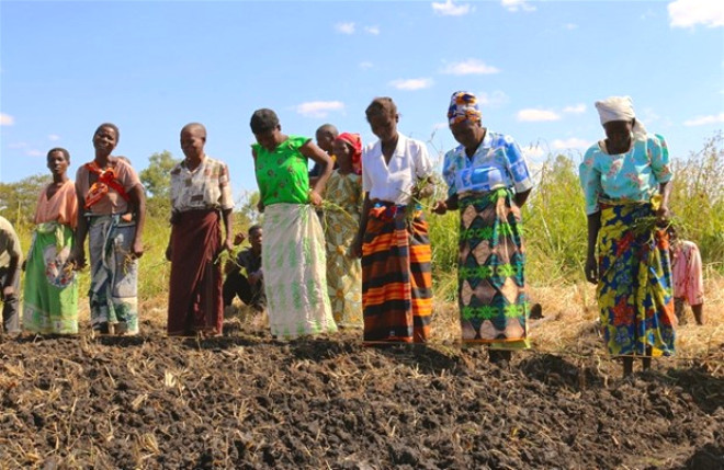 İğrenç gelenek! Cinsel ilişkiye girmezse ölen kocasını gömemiyor - Resim: 4