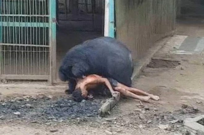 Bir anda adamın üzerine atladı sonrasında olan inanılmaz - Resim: 2