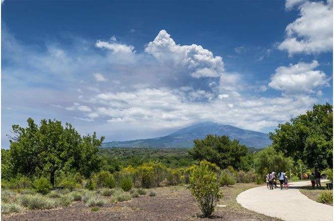 Etna Yanardağı patladı: Turistler panik halinde kaçmaya başladı - Resim: 3