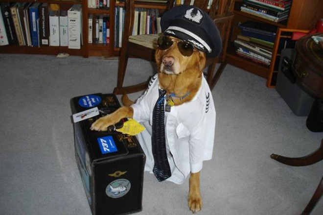 Bu insanlar havaalanının orta yerinde neden bu haldeler? - Resim: 4