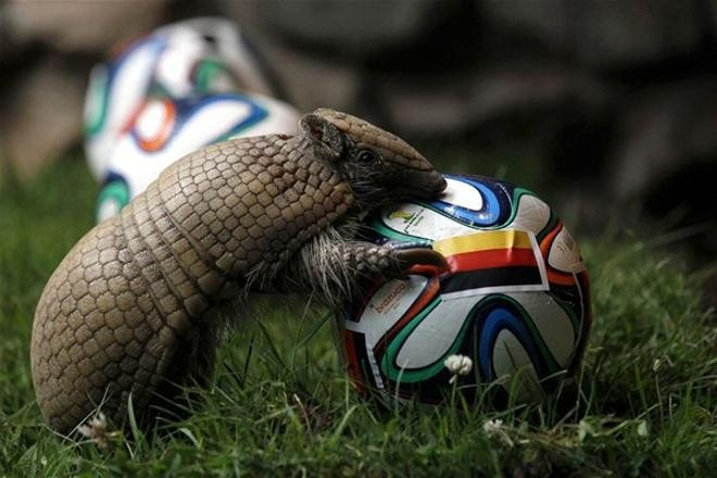 Ne olduğunu öğrenince çok şaşıracaksınız - Resim: 4