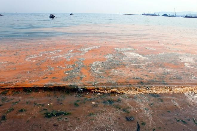 Marmara mavi değil turuncu! Korkutan görüntüye bakın - Resim: 1