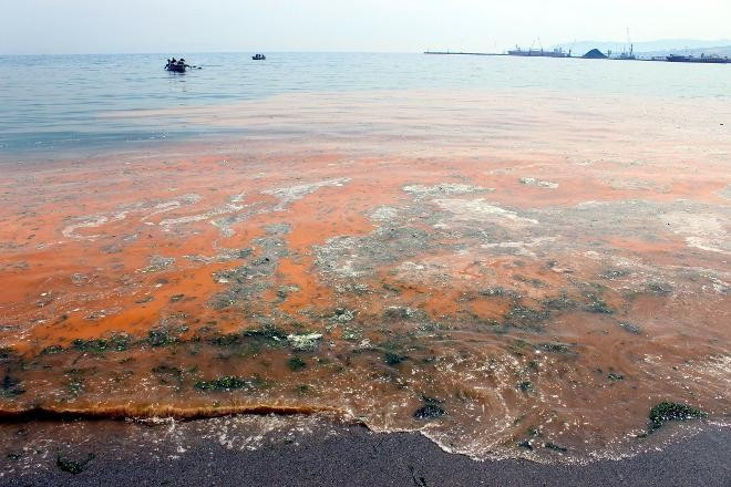 Marmara mavi değil turuncu! Korkutan görüntüye bakın - Resim: 3
