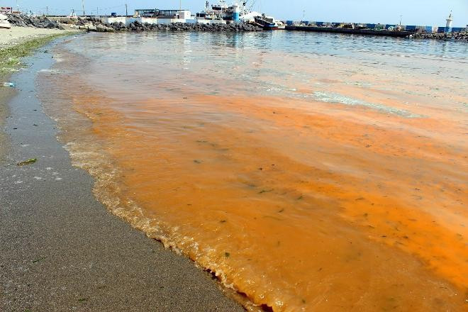 Marmara mavi değil turuncu! Korkutan görüntüye bakın - Resim: 4