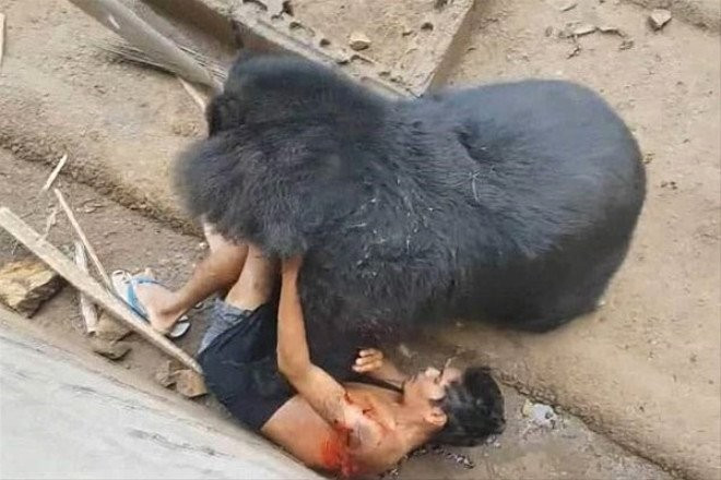 Bir anda adamın üzerine atladı sonrasında olan inanılmaz - Resim: 3