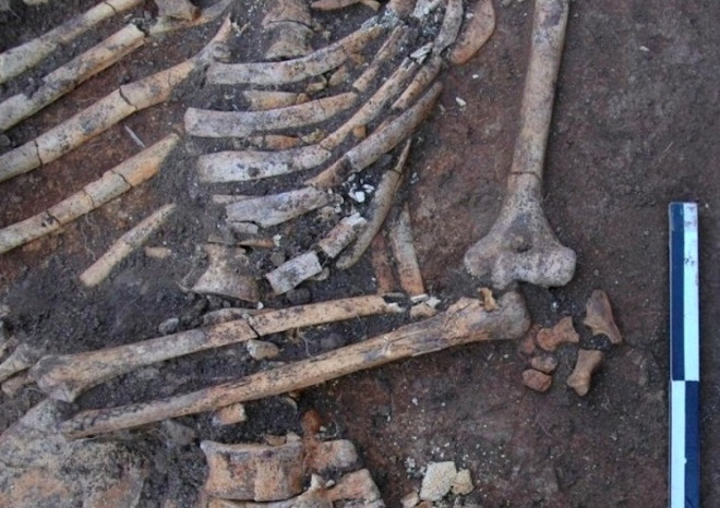 Mezarından çıkarıp kemiklerini süslemişler - Resim: 2