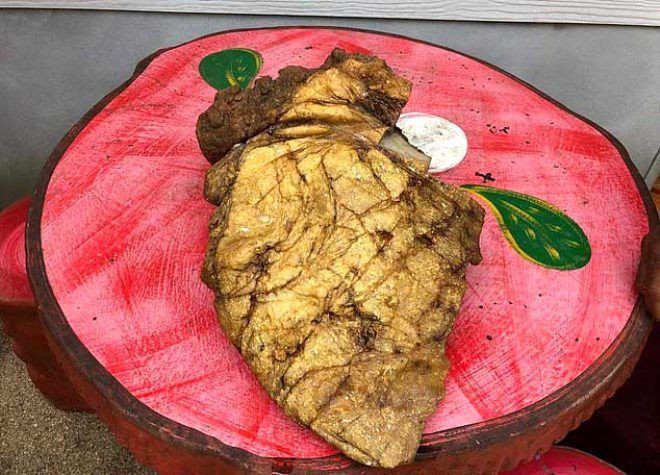 Balinanın kusmuğu karaya vurdu fiyatını duyanlar şaşkına döndü - Resim: 3