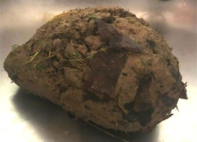 Bu toprak yürüyor görenler şoke oldu - Resim: 1