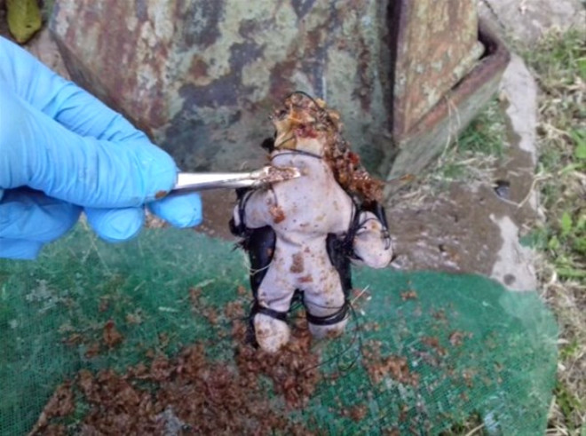 Bahçesinde bir kavanoz buldu içinden çıkanlar şoke etti - Resim: 3