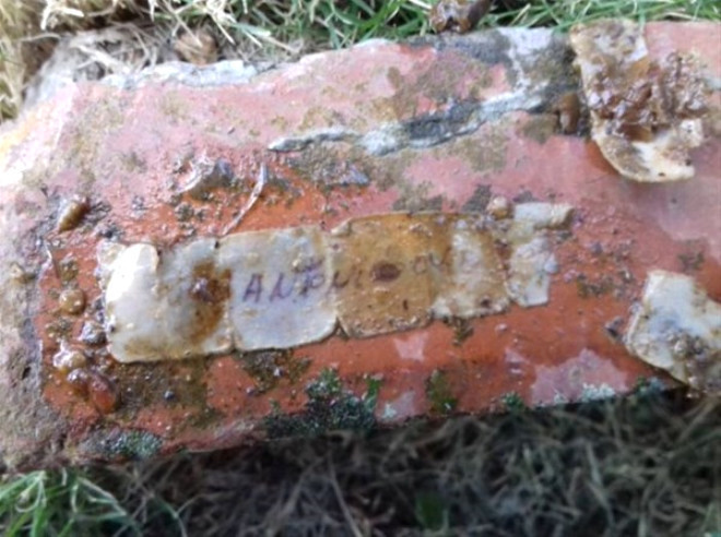 Bahçesinde bir kavanoz buldu içinden çıkanlar şoke etti - Resim: 2