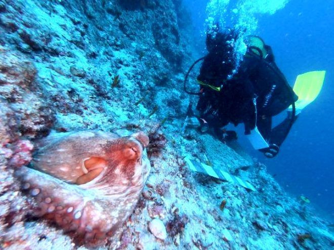 Antalya'da dünyanın en eski batığı bulundu! Çalışmalar başladı tam 3 bin 600 yıllık - Resim: 2
