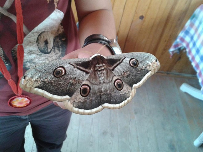 Dünyanın en güzeli Sivas'ta görüldü! - Resim: 4