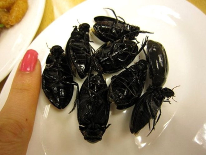 Bedava verseler sizde bunları yemek ister miydiniz?  - Resim: 2