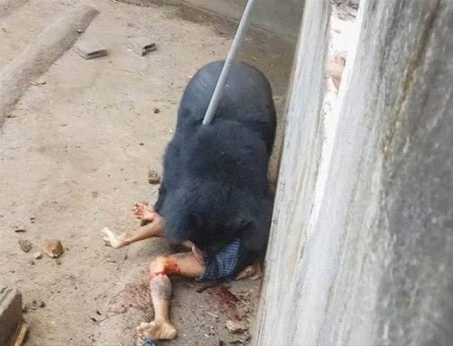 Bir anda adamın üzerine atladı sonrasında olan inanılmaz - Resim: 4