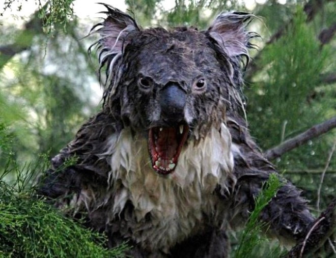 Google'da sakın bunu aramayın CIA peşinize düşüyor - Resim: 2