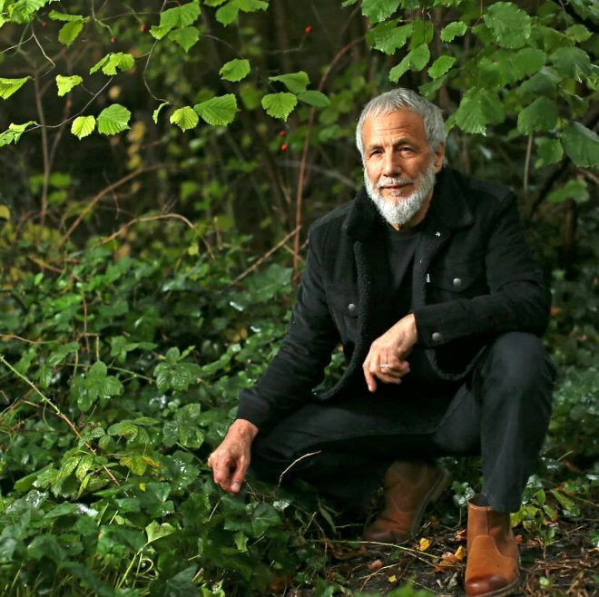 Yusuf İslam'ı Müslümanlığa iten olay tüyleri diken diken etti - Resim: 1