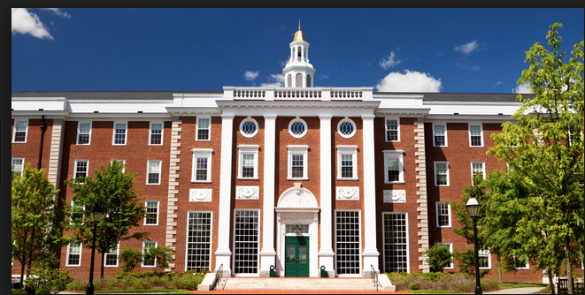 'Seks 101'e Öğrenci Aranıyor! - Resim: 2