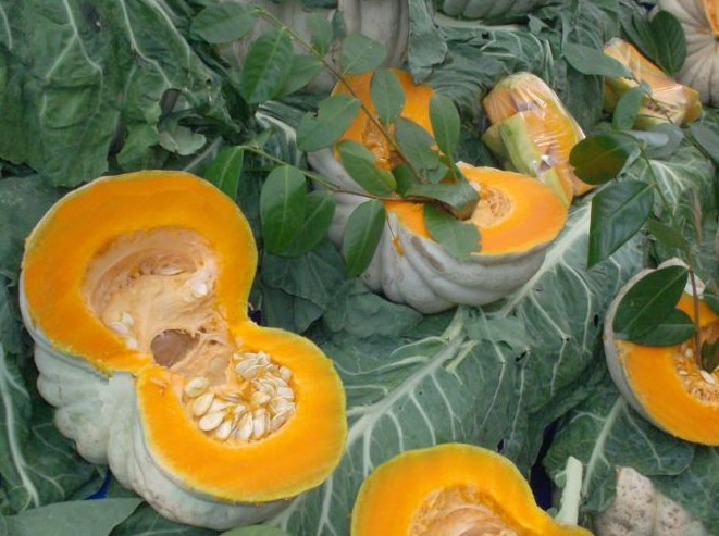 Yedikçe cinsel istediğiniz artacak! Balkabağı tam bir mucize - Resim: 3