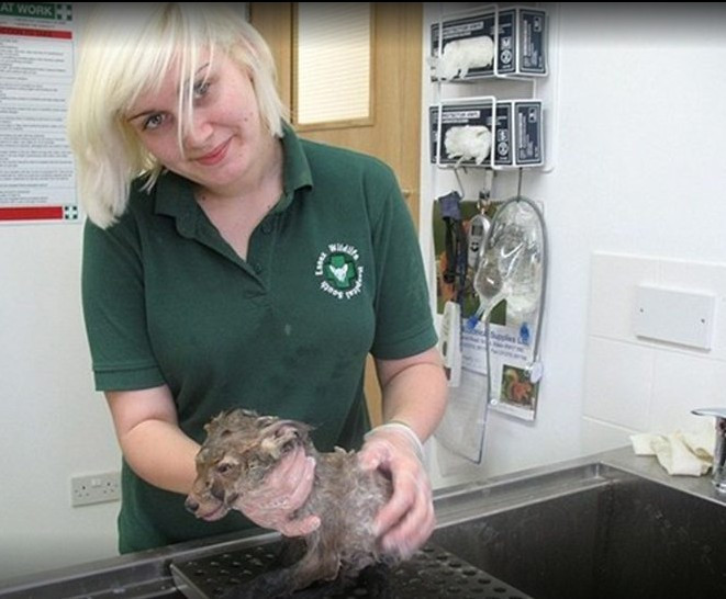 Onu bu halde buldular kimse ne olduğunu anlamadı - Resim: 2