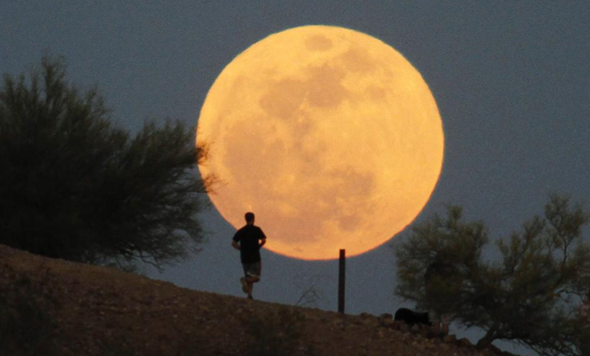 Onu hiç böyle görmemiştiniz! - Resim: 1