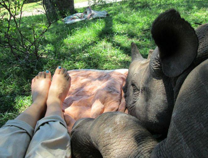 Bu karelerde bir tuhaflık var! - Resim: 4