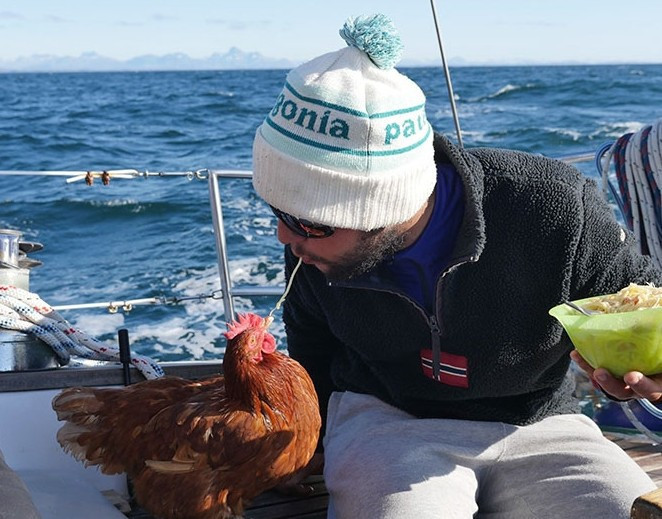 Bu tavuk 2 yıldır dünya turu yapıyor! Çok şaşıracaksınız - Resim: 4