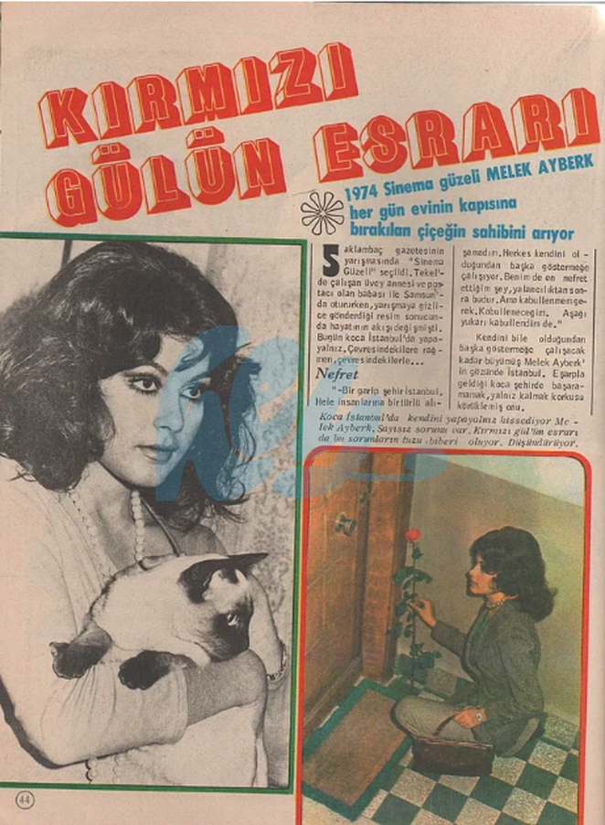 Sinema güzeli seçildi şöhret oldu uyuşturucu batağına saplanınca... - Resim: 3