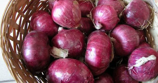 Hafızanızı güçlendirmek için bunları yiyin! - Resim: 2