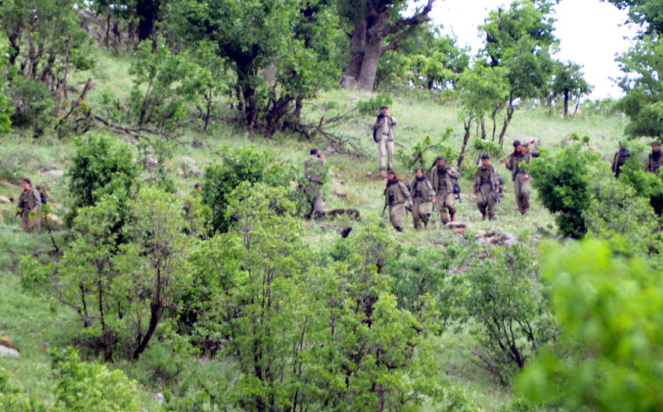  İşte sınır dışına çekilen ilk PKK'lılar! - Resim: 4
