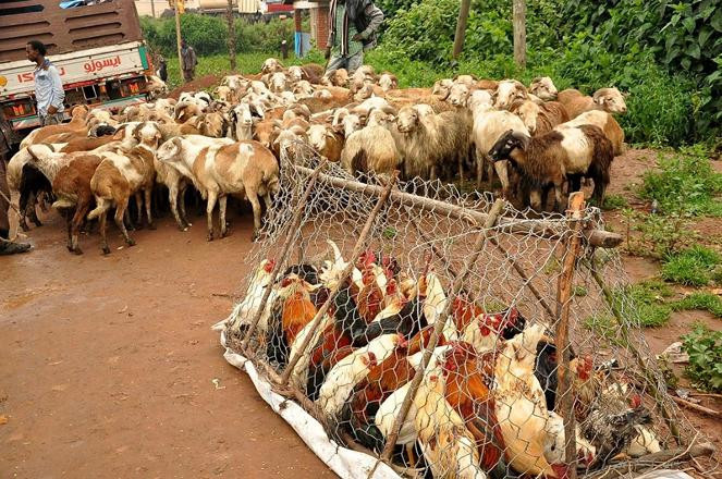 Onlar bugün 2007 yılına girdi - Resim: 2